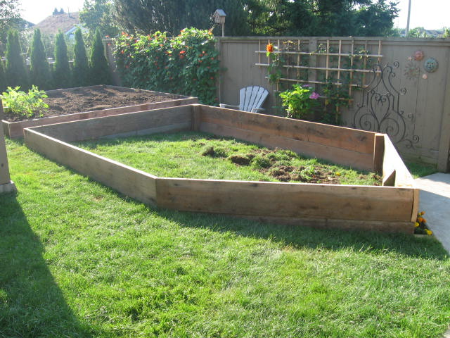 pm Garden plot2