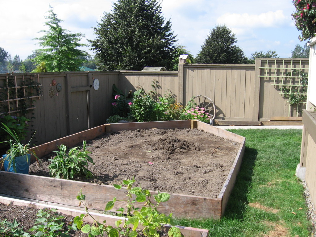 pm backyard1