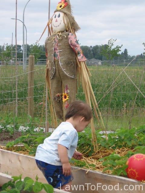 Toddlers in the Garden - Lawn to FoodLawn to Food