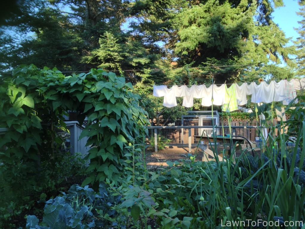 Bean arbor